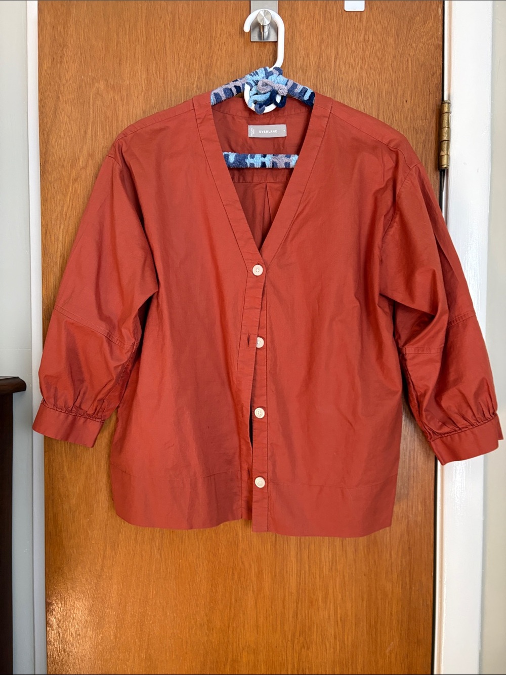 Everlane Rust-Red Button Front Blouse